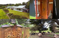 Book Kongwak Accommodation Vacations New South Wales Tourism New South Wales Tourism 