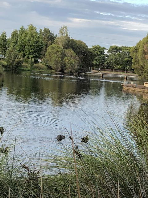 Lakeside On Boardwalk - New South Wales Tourism  1