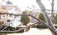 Lauristina Guest House - thumb 1