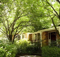 Leura Camellias - New South Wales Tourism 