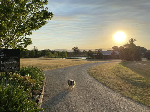 Lilies Luxury Retreats - New South Wales Tourism  3