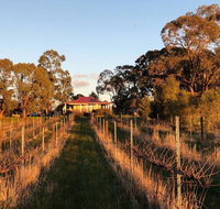 Lillicur Vineyard BB