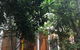 Linden Gardens Rainforest Retreat - thumb 3