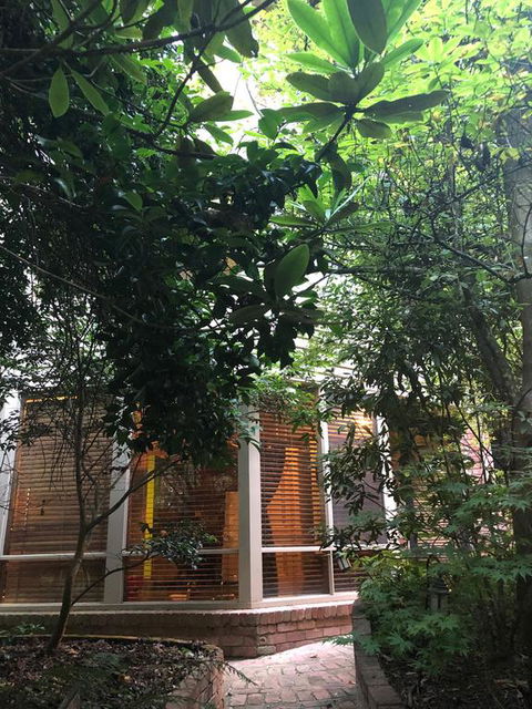 Linden Gardens Rainforest Retreat - New South Wales Tourism  3