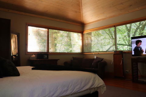 Linden Gardens Rainforest Retreat - New South Wales Tourism  1