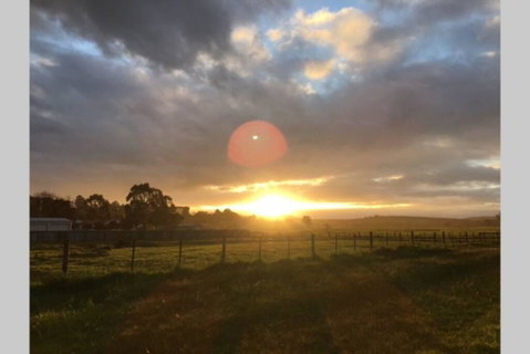 Lucys Artist Cottage - New South Wales Tourism  3