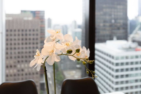 Luxury 2bed2bath Apt In The Heart Of Mel@Collins - New South Wales Tourism  2
