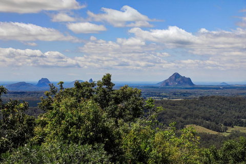 Magnolia - New South Wales Tourism  1