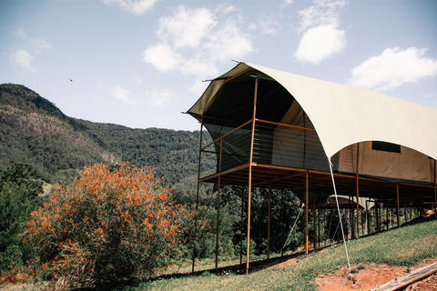 Midginbil Eco Resort - New South Wales Tourism  0