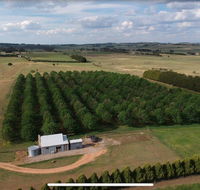 Millthorpe Truffles - Gorgeous getaway for 2 - New South Wales Tourism 