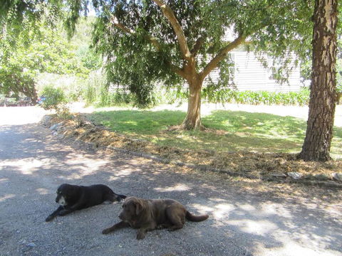 Molenda Lodge Farm Let - New South Wales Tourism  3