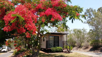 Book Mount Larcom Accommodation New South Wales Tourism New South Wales Tourism