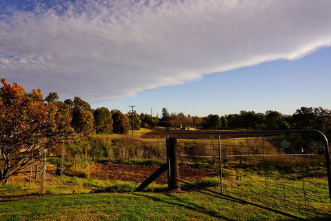 Muswellbrook Northside B&B - New South Wales Tourism  3