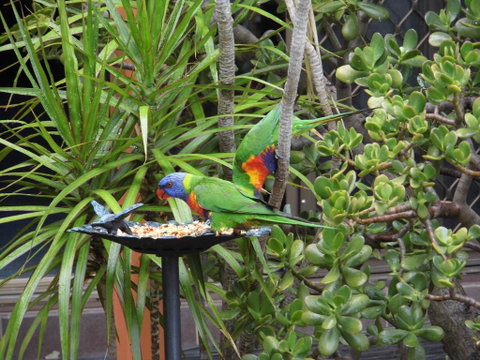 Nanango Fitzroy Motel - New South Wales Tourism  2