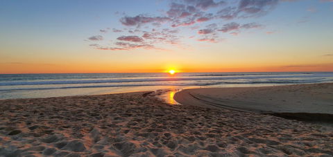 Scarborough Beach Front Resort - Shell Ten - New South Wales Tourism  15