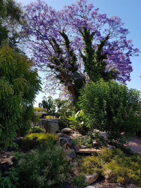 Jacaranda Hideaway Bed & Breakfast - New South Wales Tourism  10