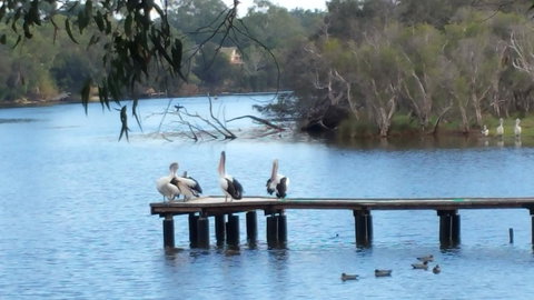 Jacaranda Hideaway Bed & Breakfast - New South Wales Tourism  18
