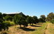 Swan Valley Sisters - thumb 29
