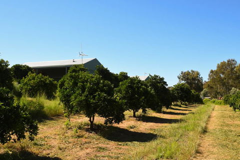 Swan Valley Sisters - New South Wales Tourism  29