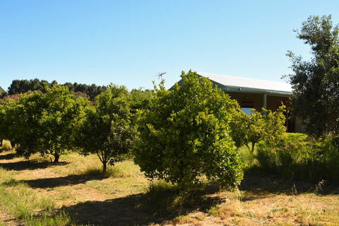 Swan Valley Sisters - New South Wales Tourism  30