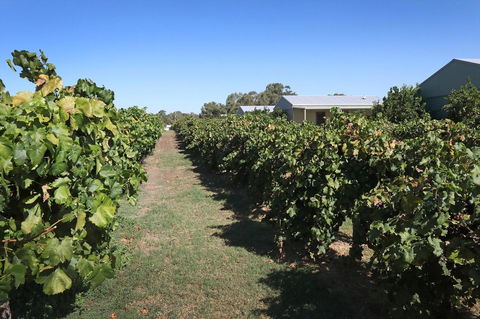 Swan Valley Sisters - New South Wales Tourism  9