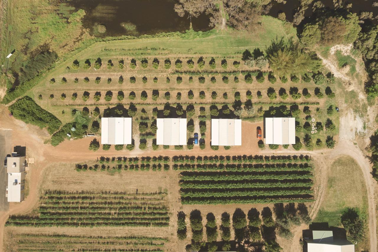 Henley Brook WA New South Wales Tourism 