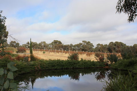 Hotham Ridge Estate - New South Wales Tourism  27