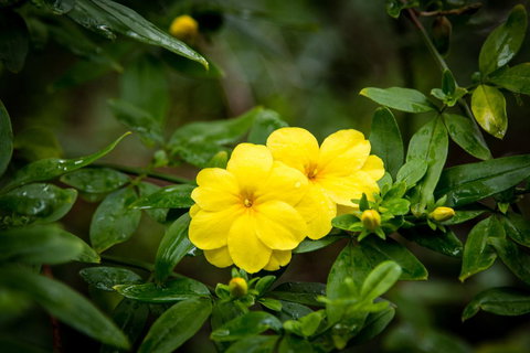 Riverglen Chalets - New South Wales Tourism  44