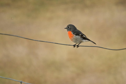 Riverglen Chalets - New South Wales Tourism  43