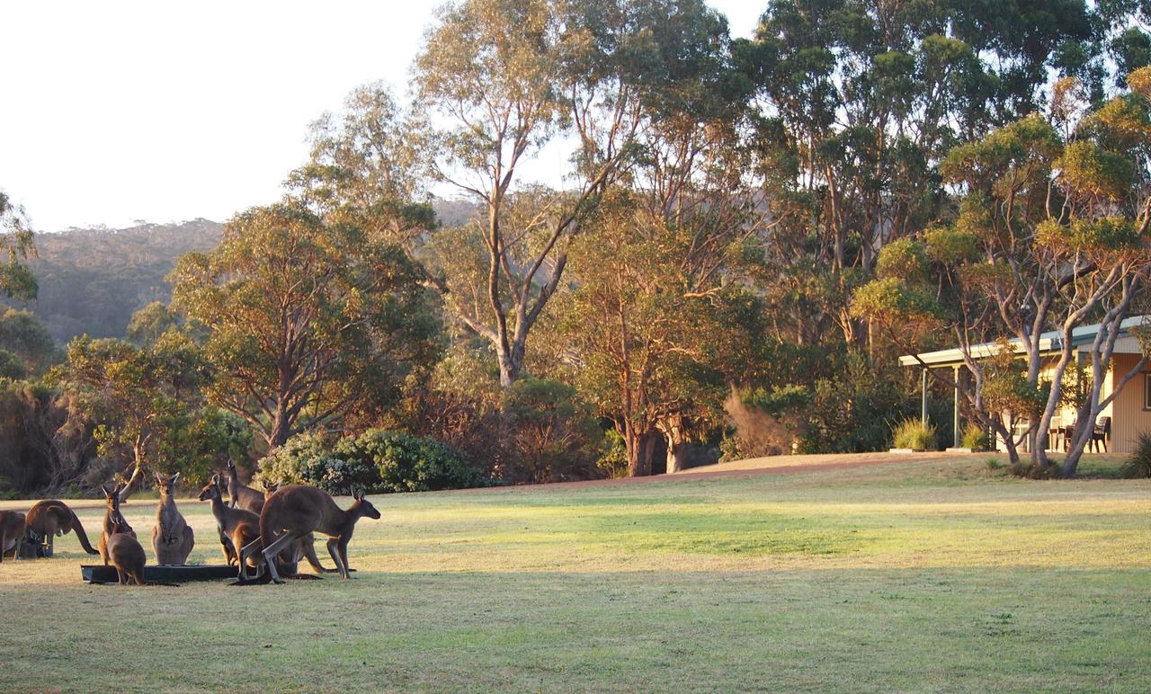  New South Wales Tourism 