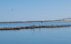 Kalbarri Seaview Villas - thumb 33
