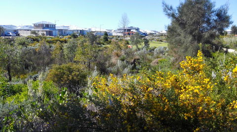 Alkimos Beach Cottage - New South Wales Tourism  3