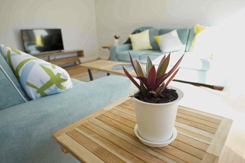 Sunny Blinco Street House - New South Wales Tourism  7