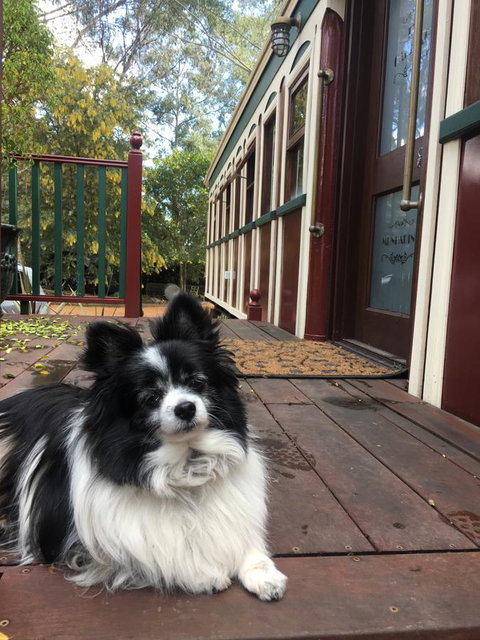 Quiet Escapes Cottages - New South Wales Tourism  15