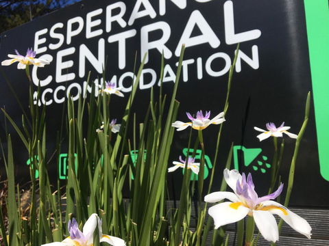 Esperance Central Accommodation - New South Wales Tourism  0
