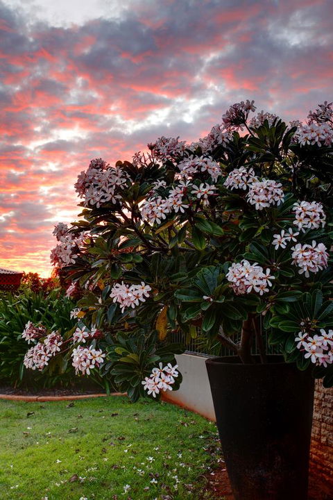 Mantra Frangipani Broome - New South Wales Tourism  35