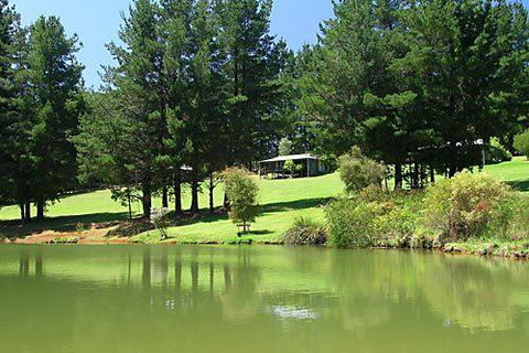 Hawke Brook Chalets - New South Wales Tourism  2