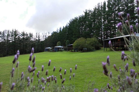 Hawke Brook Chalets - New South Wales Tourism  1
