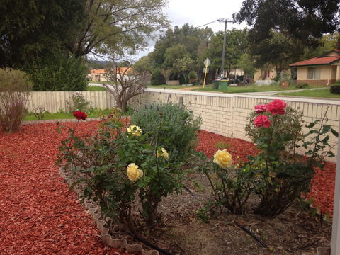â˜… Stylish Family Home! â˜… - New South Wales Tourism  1