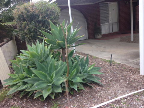 â˜… Stylish Family Home! â˜… - New South Wales Tourism  2