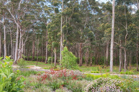 Churchill Studios - New South Wales Tourism  9