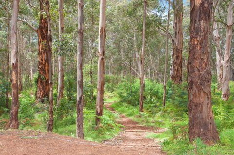 Churchill Studios - New South Wales Tourism  8