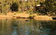Nannup Bush Retreat - thumb 9
