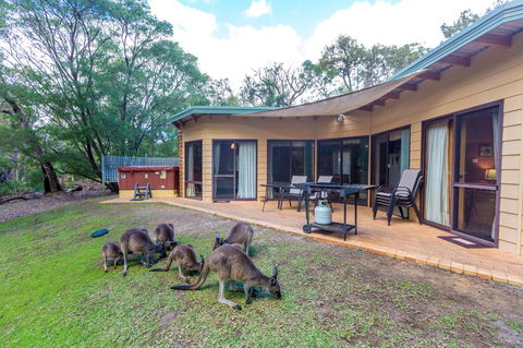 Yelverton Brook Conservation Sanctuary - New South Wales Tourism  18