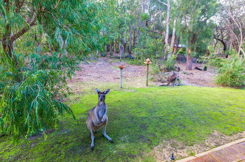 Yelverton Brook Conservation Sanctuary - New South Wales Tourism  11