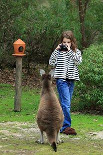 Yelverton Brook Conservation Sanctuary - New South Wales Tourism  39