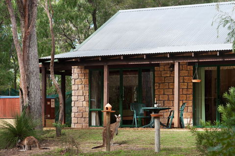 Yelverton Brook Conservation Sanctuary - New South Wales Tourism  36