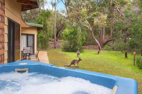Yelverton Brook Conservation Sanctuary - New South Wales Tourism  9