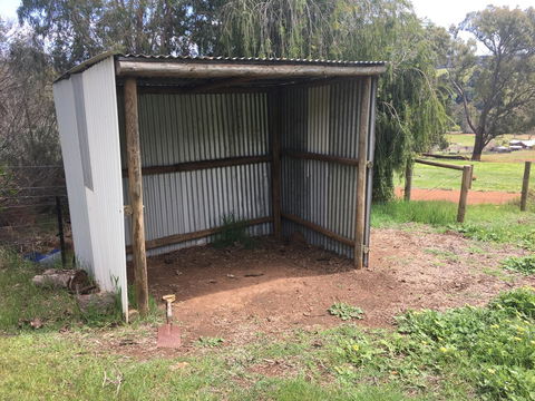 Tegwan's Nest Holiday Home - New South Wales Tourism  36