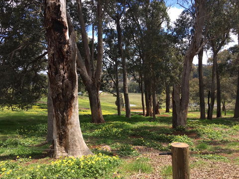 Tegwan's Nest Holiday Home - New South Wales Tourism  28